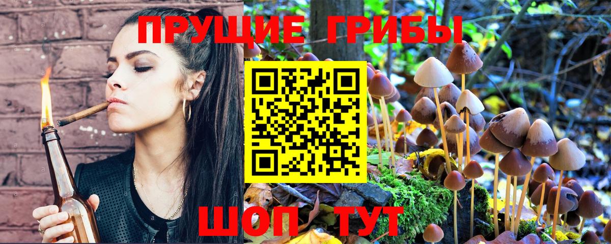 Находка  Псилоцибиновые грибы Psilocybe  Галлюциногенные грибы прущие грибы  Вход с VPN 